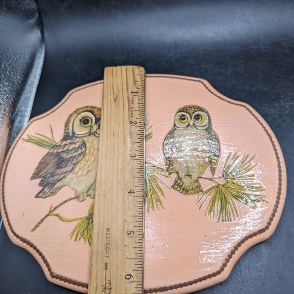 Vintage Owl Decorative Wall Hanging with Pine Branch Design - Picture 6 of 6